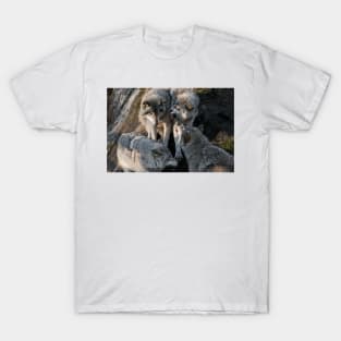 Gray Wolves T-Shirt